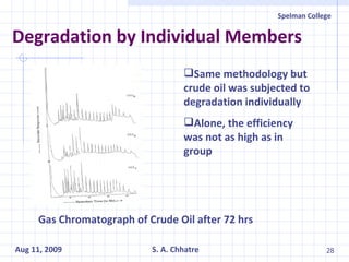 Degradation by Individual Members Same methodology but crude oil was subjected to degradation individually Alone, the efficiency was not as high as in group Gas Chromatograph of Crude Oil after 72 hrs 