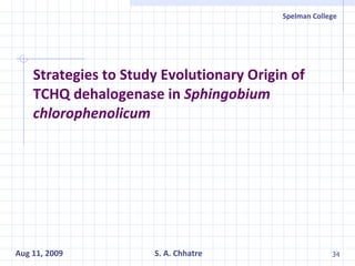 Strategies to Study Evolutionary Origin of TCHQ dehalogenase in  Sphingobium chlorophenolicum 