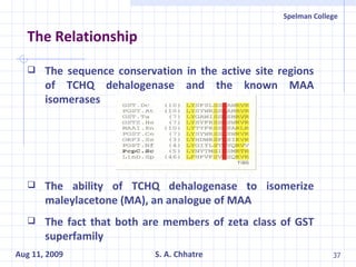 The sequence conservation in the active site regions of TCHQ dehalogenase and the known MAA isomerases The ability of TCHQ dehalogenase to isomerize maleylacetone (MA), an analogue of MAA The fact that both are members of zeta class of GST superfamily The Relationship 