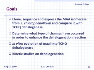 Goals Clone, sequence and express the MAA isomerase from  S. chlorophenolicum  and compare it with TCHQ dehalogenase Determine what type of changes have occurred in order to enhance the dehalogenation reaction In vitro  evolution of maai into TCHQ dehalogenase Kinetic studies on dehalogenation 