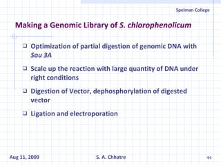 Making a Genomic Library of  S. chlorophenolicum Optimization of partial digestion of genomic DNA with  Sau 3A Scale up the reaction with large quantity of DNA under right conditions Digestion of Vector, dephosphorylation of digested vector Ligation and electroporation 