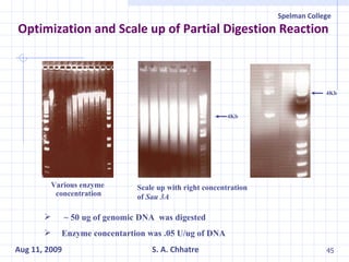 Optimization and Scale up of Partial Digestion Reaction 4Kb ~ 50 ug of genomic DNA  was digested  Enzyme concentartion was .05 U/ug of DNA Various enzyme  concentration Scale up with right concentration of  Sau 3A 4Kb 