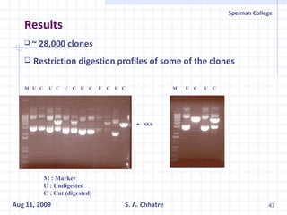Results ~ 28,000 clones Restriction digestion profiles of some of the clones 4Kb M  U  C  U  C  U  C  U  C  U  C  U  C M  U  C  U  C M : Marker U : Undigested C : Cut (digested) 