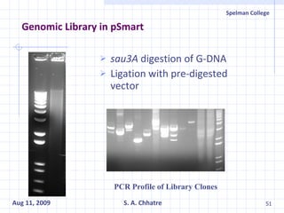 Genomic Library in pSmart sau3A  digestion of G-DNA Ligation with pre-digested vector PCR Profile of Library Clones 