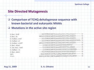 Site Directed Mutagenesis Comparison of TCHQ dehalogenase sequence with known bacterial and eukaryotic MAAIs Mutations in the active site region   
