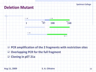 Deletion Mutant PCR amplification of the 2 fragments with restriction sites Overlapping PCR for the full fragment Cloning in pET 21a 1 97 108 248 