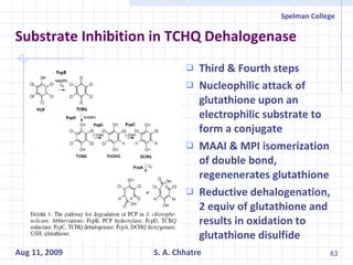 Substrate Inhibition in TCHQ Dehalogenase Third & Fourth steps Nucleophilic attack of glutathione upon an electrophilic substrate to form a conjugate MAAI & MPI isomerization of double bond, regenenerates glutathione Reductive dehalogenation, 2 equiv of glutathione and results in oxidation to glutathione disulfide  