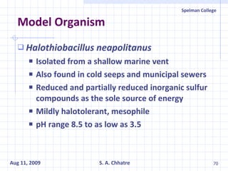 Model Organism Halothiobacillus neapolitanus Isolated from a shallow marine vent Also found in cold seeps and municipal sewers Reduced and partially reduced inorganic sulfur compounds as the sole source of energy Mildly halotolerant, mesophile pH range 8.5 to as low as 3.5 