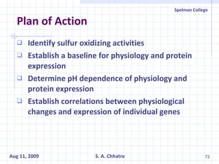 Plan of Action Identify sulfur oxidizing activities Establish a baseline for physiology and protein expression Determine pH dependence of physiology and protein expression Establish correlations between physiological changes and expression of individual genes 