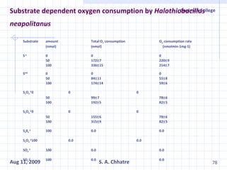 Substrate dependent oxygen consumption by  Halothiobacillus neapolitanus   Substrate amount Total O 2  consumption O 2  consumption rate (nmol) (nmol)   (nmolmin-1mg-1) S -2 0 0 0 50 172  7 220  9 100 336  15 214  7 S 0 * 0 0 0 50 84  11 55  8 100 174  14 59  6 S 2 O 3 -2 0 0 0 50 99  7 78  6 100 192  5 82  5 S 4 O 6 -2 0 0 0 50 155  6 78  6 100 315  9 82  5 S 3 0 6 -2 100 0.0 0.0 S 5 O 6 -2 100 0.0 0.0 SO 3 -2 100 0.0 0.0 SO 4 -2 100 0.0 0.0 