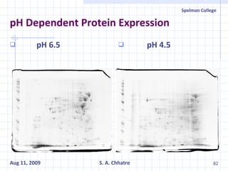 pH Dependent Protein Expression pH 6.5 pH 4.5 
