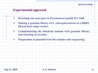 Experimental approach Knocking out  maai  gene in  Pseudomonas putida  KT 2440 Making a genomic library of  S. chlorophenolicum  in a BHRV (Broad host range vector) Complementing the knockout mutant with genomic library and selecting on tyrosine Preparation of plasmid from the colonies and sequencing  