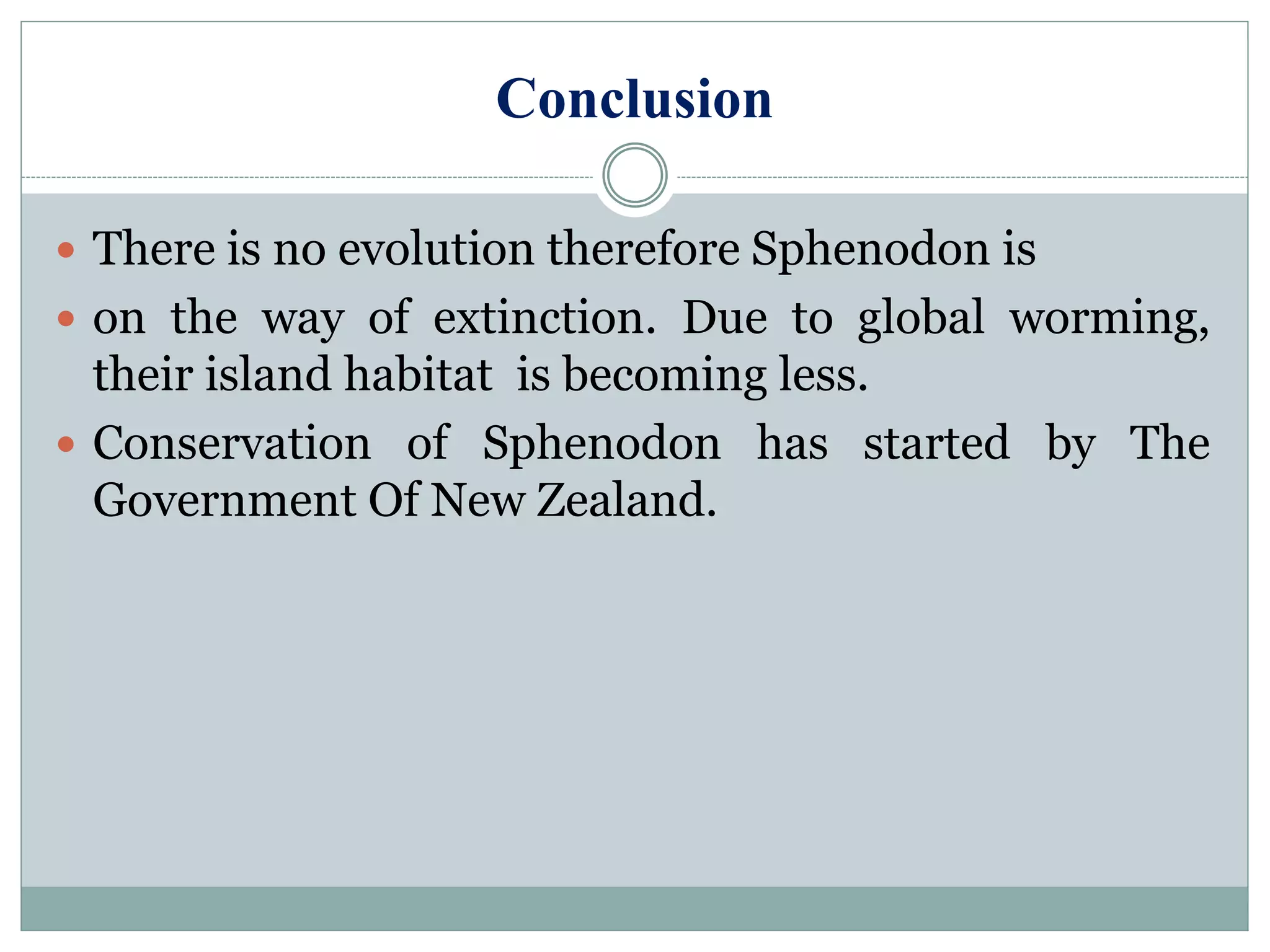 Conclusion
 There is no evolution therefore Sphenodon is
 on the way of extinction. Due to global worming,
their island habitat is becoming less.
 Conservation of Sphenodon has started by The
Government Of New Zealand.
 