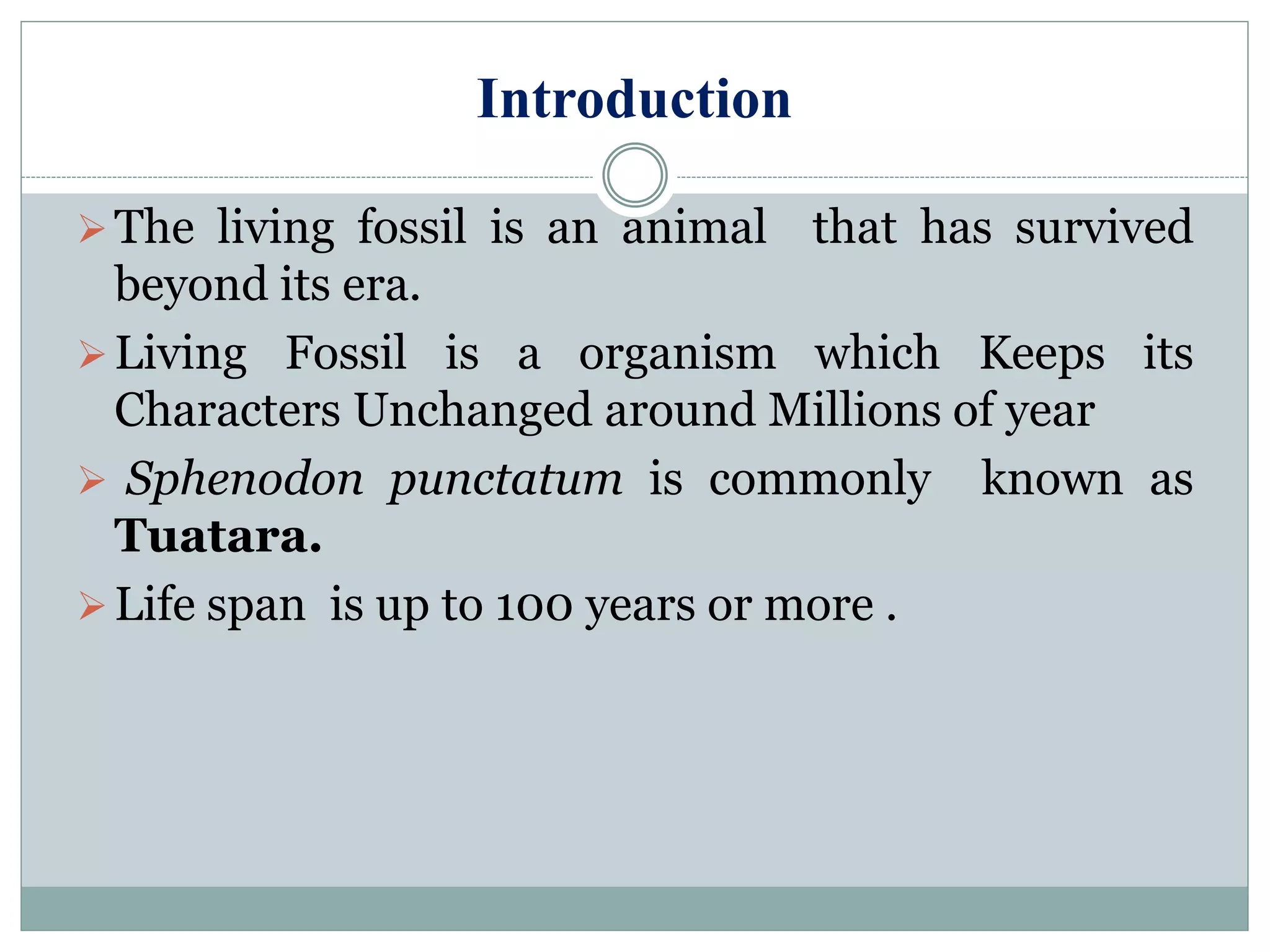 Introduction
The living fossil is an animal that has survived
beyond its era.
Living Fossil is a organism which Keeps its
Characters Unchanged around Millions of year
 Sphenodon punctatum is commonly known as
Tuatara.
Life span is up to 100 years or more .
 