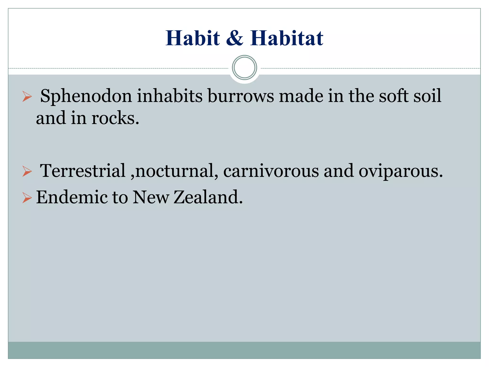 Habit & Habitat
 Sphenodon inhabits burrows made in the soft soil
and in rocks.
 Terrestrial ,nocturnal, carnivorous and oviparous.
Endemic to New Zealand.
 