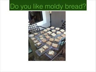 Do you like moldy bread?
 