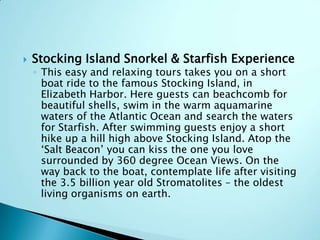 

Stocking Island Snorkel & Starfish Experience

◦ This easy and relaxing tours takes you on a short
boat ride to the famous Stocking Island, in
Elizabeth Harbor. Here guests can beachcomb for
beautiful shells, swim in the warm aquamarine
waters of the Atlantic Ocean and search the waters
for Starfish. After swimming guests enjoy a short
hike up a hill high above Stocking Island. Atop the
„Salt Beacon‟ you can kiss the one you love
surrounded by 360 degree Ocean Views. On the
way back to the boat, contemplate life after visiting
the 3.5 billion year old Stromatolites – the oldest
living organisms on earth.

 