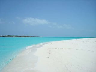 Spencer Bahamas Option