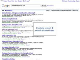 Duplicate content & canonicalization issues 
