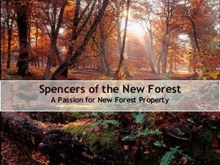 Spencers of the New Forest
A Passion for New Forest Property
 