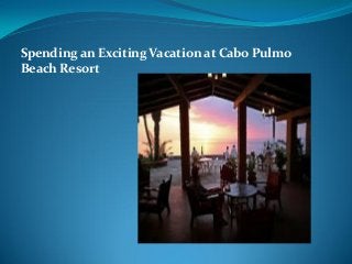 Spending an Exciting Vacation at Cabo Pulmo
Beach Resort

 