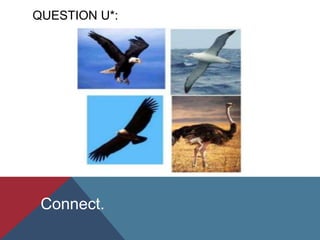 QUESTION U*:
Connect.
 
