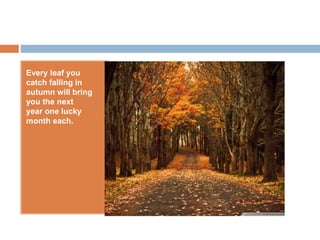 Every leaf you
catch falling in
autumn will bring
you the next
year one lucky
month each.
 