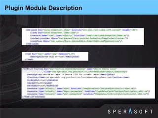 Plugin Module Description  