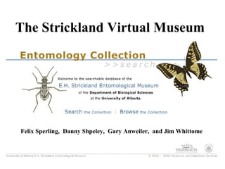 Felix Sperling,  Danny Shpeley,  Gary Anweiler,  and Jim Whittome The Strickland Virtual Museum 