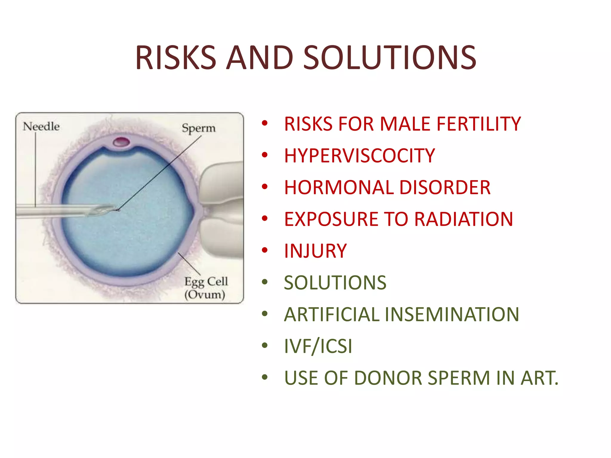 Sperm anatomy and physiology | PPTX