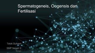 Spermatogeneis, Oogensis dan
Fertilisasi
 