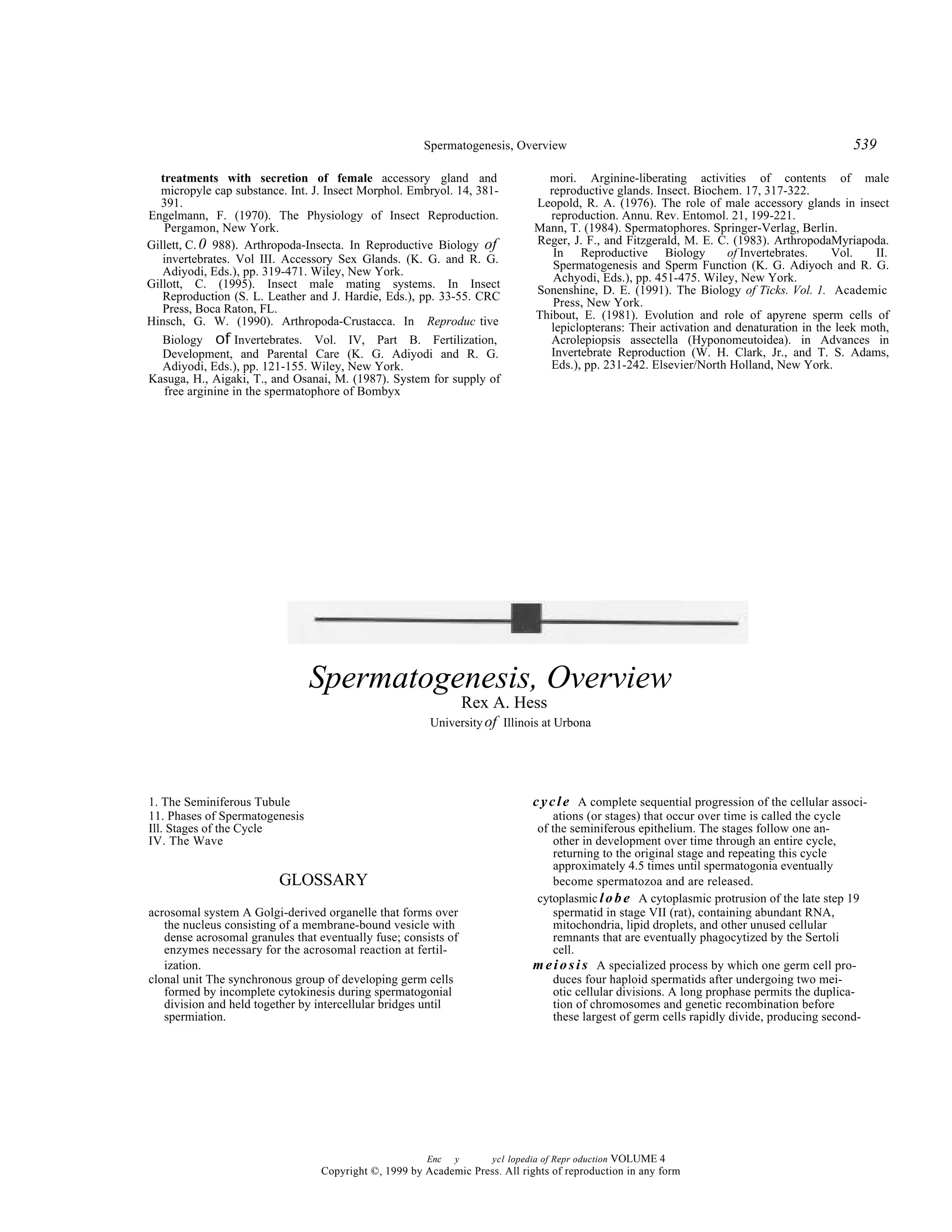 Spermatogenesis | PDF