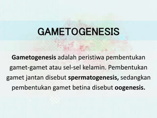 GAMETOGENESIS
Gametogenesis adalah peristiwa pembentukan
gamet-gamet atau sel-sel kelamin. Pembentukan
gamet jantan disebut spermatogenesis, sedangkan
pembentukan gamet betina disebut oogenesis.
 