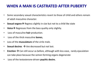 WHEN A MAN IS CASTRATED AFTER PUBERTY
• Some secondary sexual characteristics revert to those of child and others remain
of adult masculine character.
• Sexual organs Regress slightly in size but not to a child like state
• Voice Regresses from the bass quality only slightly.
• Loss of masculine hair production.
• Loss of the thick masculine bones,
• Loss of the musculature of the virile male.
• Sexual desires  Are decreased but not lost.
• Erection  Can still occur as before, although with less ease, rarely ejaculation
can take place because the semen forming organs degenerate
• Loss of the testosterone-driven psychic desire.
 