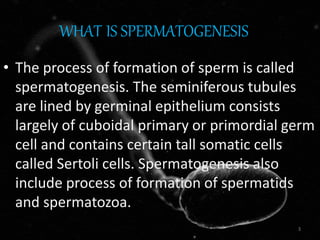 WHAT IS SPERMATOGENESIS ?
• The process of formation of sperm is called
spermatogenesis. The seminiferous tubules
are lined by germinal epithelium consists
largely of cuboidal primary or primordial germ
cell and contains certain tall somatic cells
called Sertoli cells. Spermatogenesis also
include process of formation of spermatids
and spermatozoa.
3
 