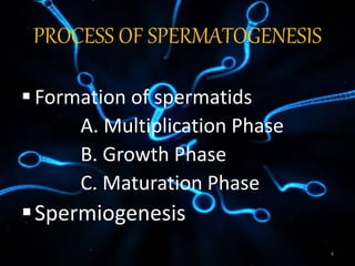 PROCESS OF SPERMATOGENESIS
 Formation of spermatids
A. Multiplication Phase
B. Growth Phase
C. Maturation Phase
Spermiogenesis
4
 