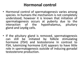Hormonal control
• Hormonal control of spermatogenesis varies among
species. In humans the mechanism is not completely
understood; however it is known that initiation of
spermatogenesis occurs at puberty due to the
interaction of the hypothalamus, pituitary
gland and Leydig cells.
• If the pituitary gland is removed, spermatogenesis
can still be initiated by follicle stimulating
hormone (FSH) and testosterone In contrast to
FSH, luteinizing hormone (LH) appears to have little
role in spermatogenesis outside of inducing gonadal
testosterone production.
 