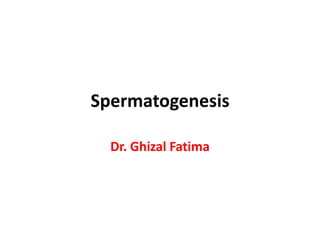 Spermatogenesis
Dr. Ghizal Fatima
 