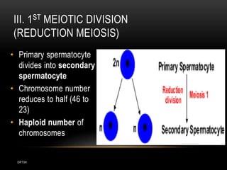 DRTSK
III. 1ST MEIOTIC DIVISION
(REDUCTION MEIOSIS)
• Primary spermatocyte
divides into secondary
spermatocyte
• Chromosome number
reduces to half (46 to
23)
• Haploid number of
chromosomes
 