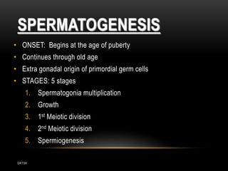 DRTSK
SPERMATOGENESIS
• ONSET: Begins at the age of puberty
• Continues through old age
• Extra gonadal origin of primordial germ cells
• STAGES: 5 stages
1. Spermatogonia multiplication
2. Growth
3. 1st Meiotic division
4. 2nd Meiotic division
5. Spermiogenesis
 