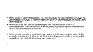 • of the steps of spermatocytogenesis, including type Ad spermatogonium, type Ap
Spermatogonium, type B spermatogonium, primary spermatocyte, and secondary
spermatocyte.
• Mitotic division of a diploid spermatogonium that resides in the basal
compartment of the seminiferous tubules, resulting in two diploid intermediate
cells called primary spermatocytes.
• Each primary spermatocyte then moves into the adluminal compartment of the
seminiferous tubules, duplicates its DNA, and subsequently undergoes meiosis I
to produce two haploid secondary spermatocytes.
.
 