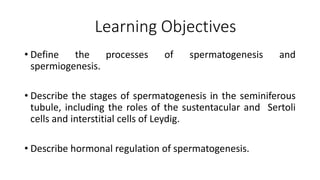 Learning Objectives
• Define the processes of spermatogenesis and
spermiogenesis.
• Describe the stages of spermatogenesis in the seminiferous
tubule, including the roles of the sustentacular and Sertoli
cells and interstitial cells of Leydig.
• Describe hormonal regulation of spermatogenesis.
 