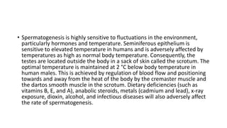 • Spermatogenesis is highly sensitive to fluctuations in the environment,
particularly hormones and temperature. Seminiferous epithelium is
sensitive to elevated temperature in humans and is adversely affected by
temperatures as high as normal body temperature. Consequently, the
testes are located outside the body in a sack of skin called the scrotum. The
optimal temperature is maintained at 2 °C below body temperature in
human males. This is achieved by regulation of blood flow and positioning
towards and away from the heat of the body by the cremaster muscle and
the dartos smooth muscle in the scrotum. Dietary deficiencies (such as
vitamins B, E, and A), anabolic steroids, metals (cadmium and lead), x-ray
exposure, dioxin, alcohol, and infectious diseases will also adversely affect
the rate of spermatogenesis.
 