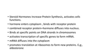 • Steroid Hormones Increase Protein Synthesis, activates cells
functions.
• hormone enters cytoplasm , binds with receptor protein
• combined receptor protein–hormone diffuses into nucleus.
• Binds at specific points on DNA strands in chromosomes
• activates transcription of specific genes to form mRNA.
• mRNA diffuses into the cytoplasm
• promotes translation at ribosomes to form new proteins. E.g;,
aldosterone
 