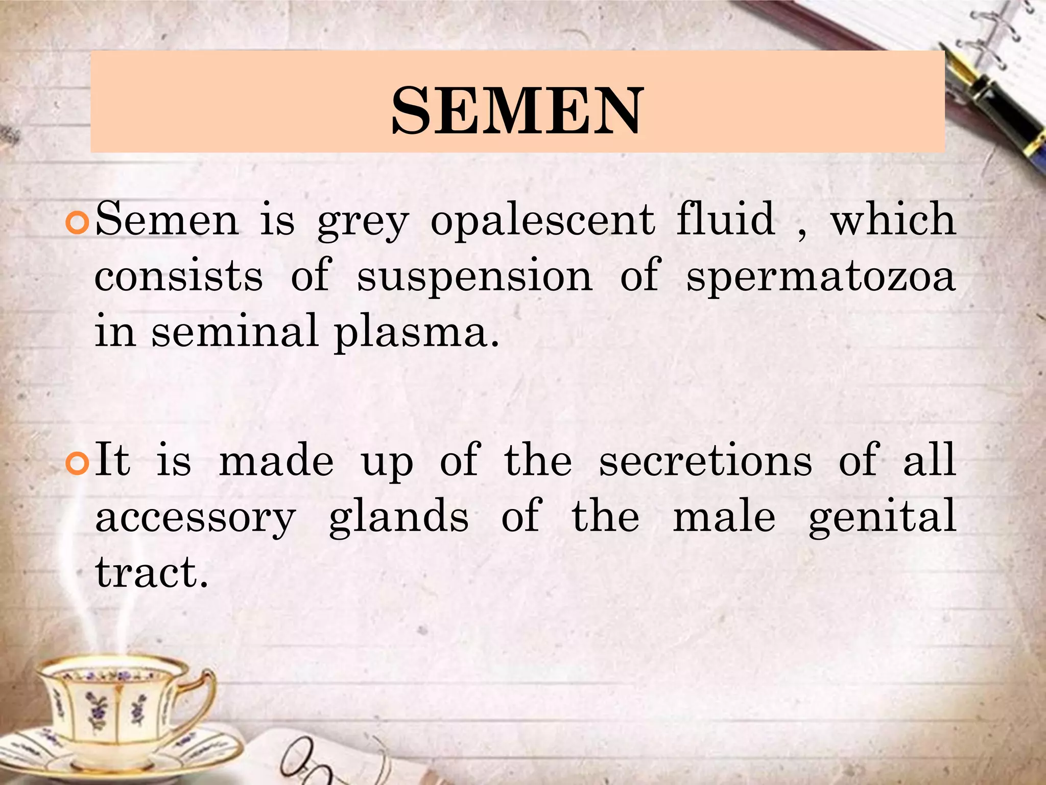 SEMEN
Semen is grey opalescent fluid , which
consists of suspension of spermatozoa
in seminal plasma.
It is made up of the secretions of all
accessory glands of the male genital
tract.
 