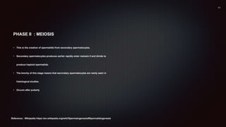 PHASE II : MEIOSIS
• This is the creation of spermatids from secondary spermatocytes.
• Secondary spermatocytes produces earlier rapidly enter meiosis II and divide to
produce haploid spermatids.
• The brevity of this stage means that secondary spermatocytes are rarely seen in
histological studies.
• Occurs after puberty
Reference : Wikipedia https://en.wikipedia.org/wiki/Spermatogenesis#Spermatidogenesis
 