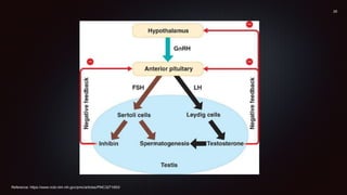 Reference: https://www.ncbi.nlm.nih.gov/pmc/articles/PMC3271653/
 