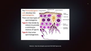 Reference : https://dev.biologists.org/content/135/13/2207.figures-only
 