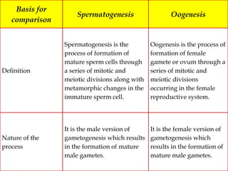 Basis for
comparison
Spermatogenesis Oogenesis
Definition
Spermatogenesis is the
process of formation of
mature sperm cells through
a series of mitotic and
meiotic divisions along with
metamorphic changes in the
immature sperm cell.
Oogenesis is the process of
formation of female
gamete or ovum through a
series of mitotic and
meiotic divisions
occurring in the female
reproductive system.
Nature of the
process
It is the male version of
gametogenesis which results
in the formation of mature
male gametes.
It is the female version of
gametogenesis which
results in the formation of
mature male gametes.
 