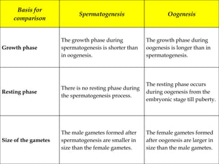 Basis for
comparison
Spermatogenesis Oogenesis
Growth phase
The growth phase during
spermatogenesis is shorter than
in oogenesis.
The growth phase during
oogenesis is longer than in
spermatogenesis.
Resting phase
There is no resting phase during
the spermatogenesis process.
The resting phase occurs
during oogenesis from the
embryonic stage till puberty.
Size of the gametes
The male gametes formed after
spermatogenesis are smaller in
size than the female gametes.
The female gametes formed
after oogenesis are larger in
size than the male gametes.
 